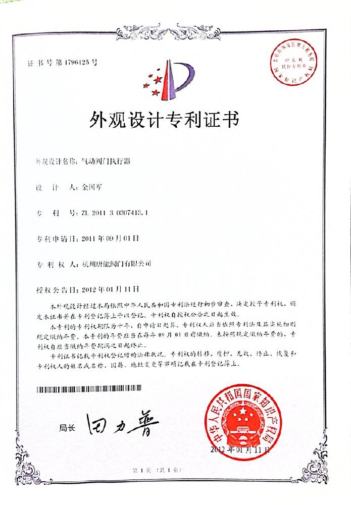 Patent