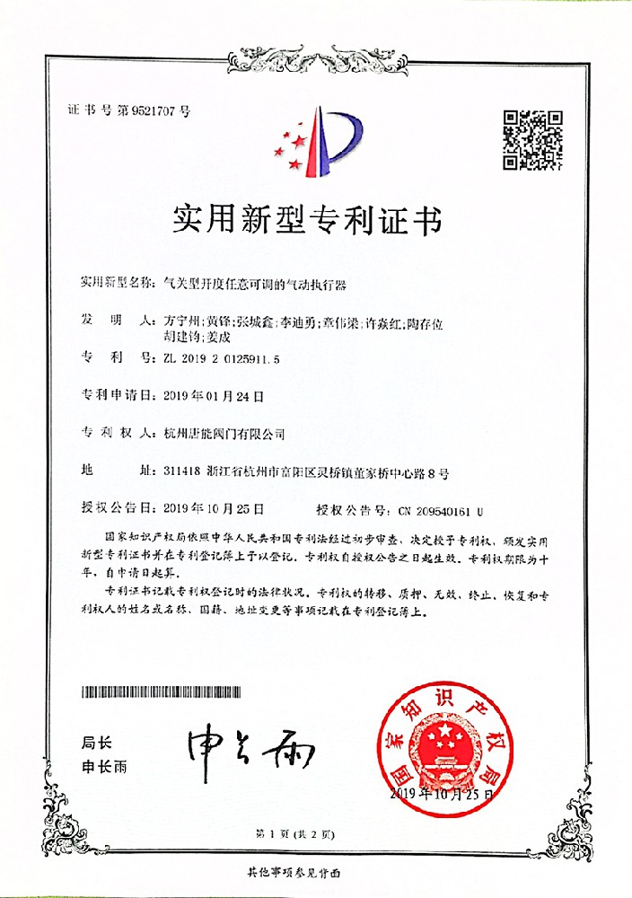 Patent